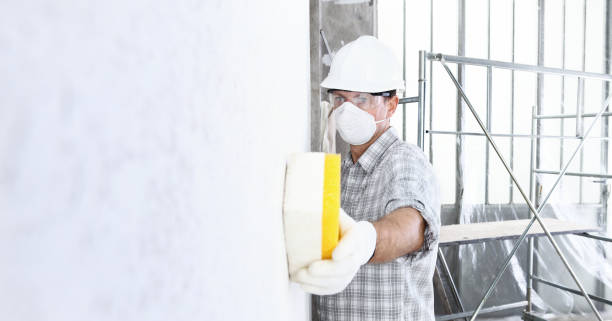 Why You Should Choose Our Mold Remediation Services in Rockford, IL